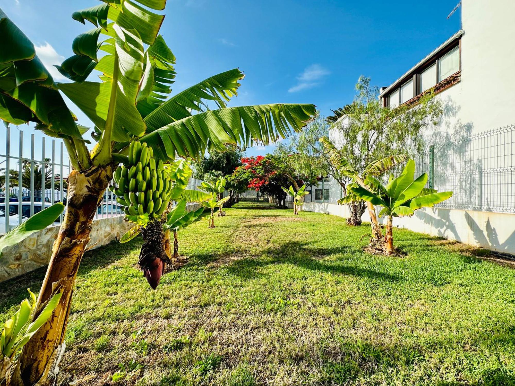 Quiet Apartment Chayofita Arona  Exterior foto